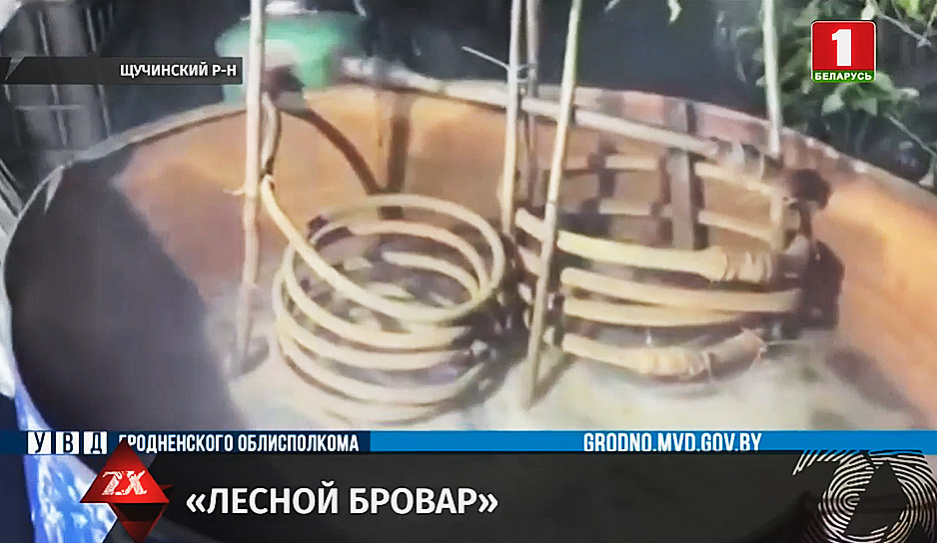 В Щучинском районе милиционеры ликвидировали лесной бровар
