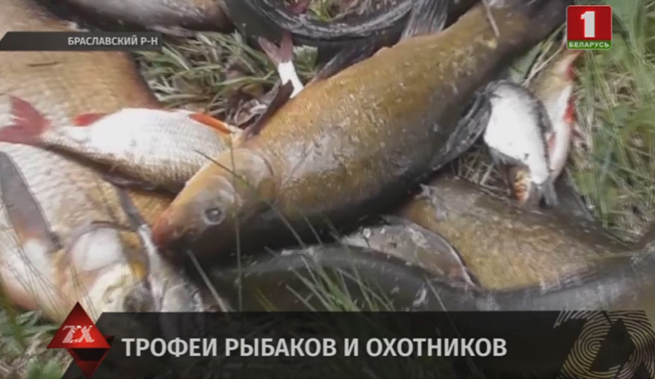 В Брасловском районе госинспекторы задержали нелегального рыбака 