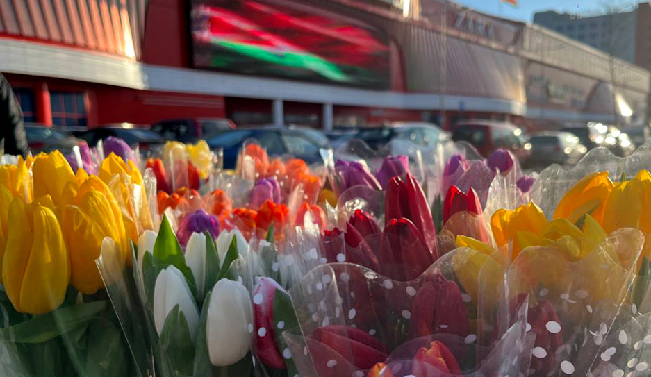Минск готовится к 8 Марта - узнали, во сколько обойдется букет тюльпанов