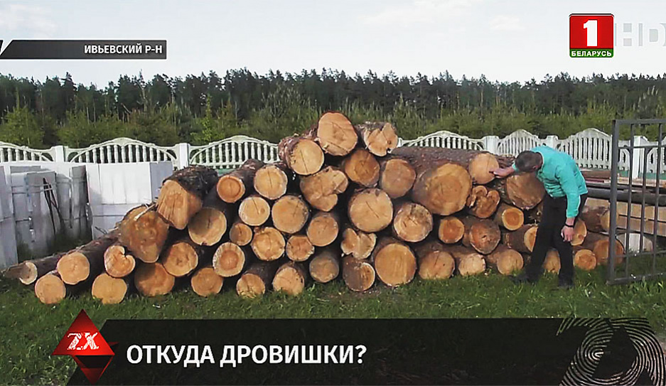 Факты хищения леса в Ивьевском,  Ивацевичском районе и в Смолевичском лесхозе