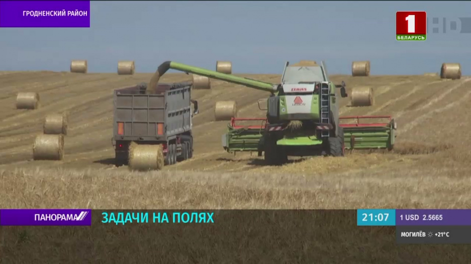 Какие задачи аграриям поставил Александр Лукашенко на селекторном собрании?