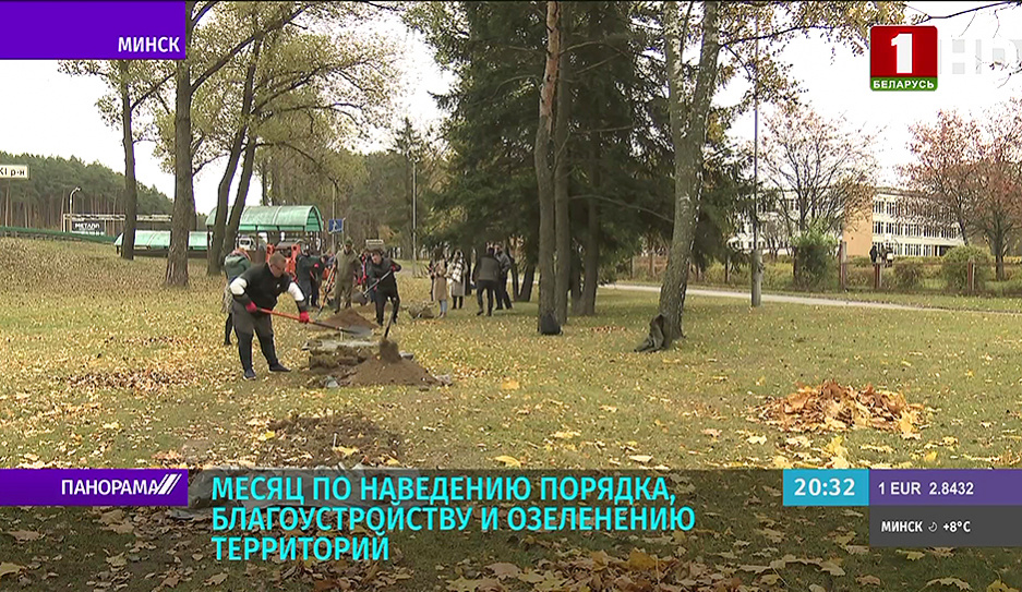 Месяц наведения порядка в столице: в парках появились 72 тысячи кустарников и 800 деревьев