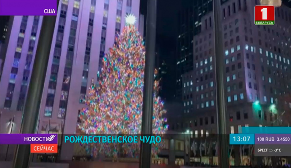 Рождественское чудо - житель Нью-Йорка арендовал каток, чтобы сделать предложение руки и сердца