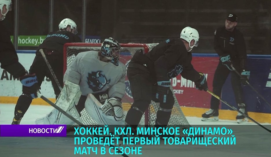 Хоккейное минское Динамо проведет первый товарищеский матч в КХЛ - в гостях команда из Новосибирска