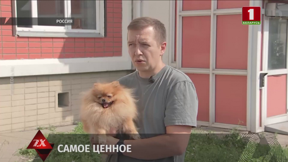 Квартирный воришка в Москве обчистил жилище, забрал не только украшения, но и шпица