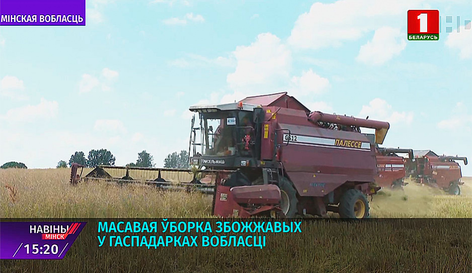 В Минской области обмолочено более 7 % площадей зерновых и зернобобовых культур