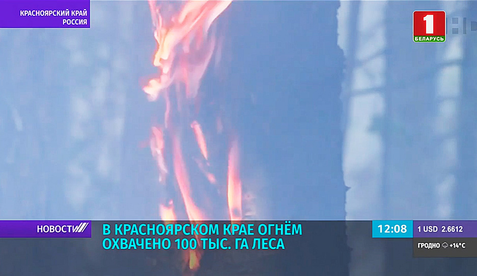 В Красноярском крае огнем охвачено 100 тысяч гектаров леса 