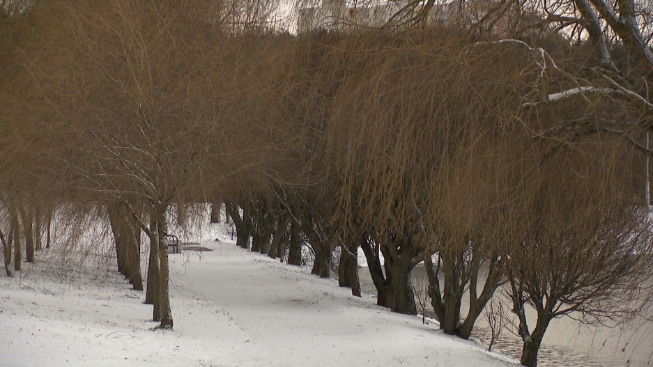 В Беларуси ожидаются морозные и снежные выходные 