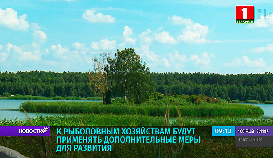 К рыболовным хозяйствам Беларуси будут применять дополнительные меры для развития 