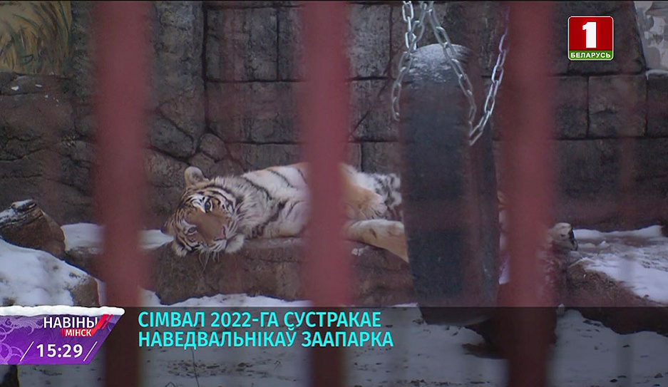 Символ 2022 встречает посетителей зоопарка в Минске в новом сезоне