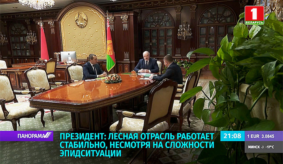 А. Лукашенко: За годы независимости площадь лесов увеличена почти на 1 млн га 