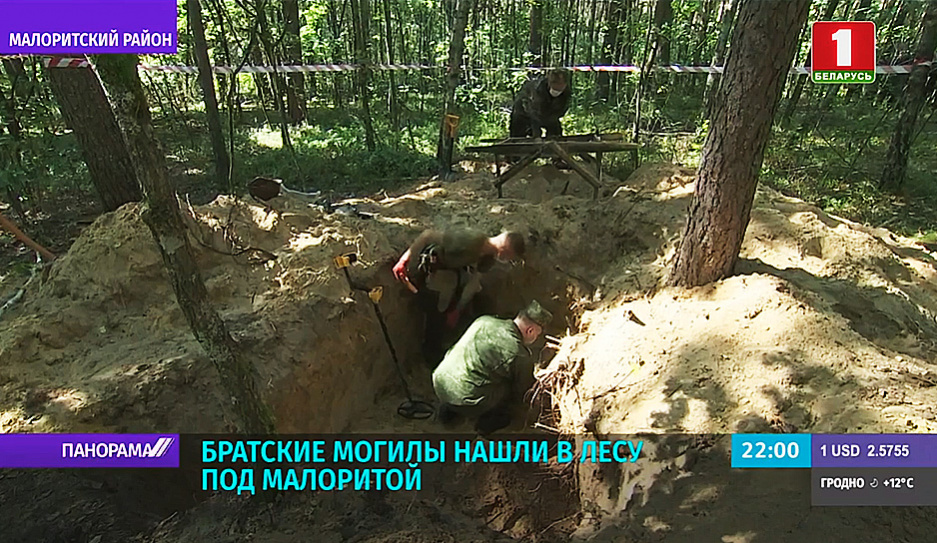 Братские могилы бойцов 75-й стрелковой дивизии нашли в лесу под Малоритой