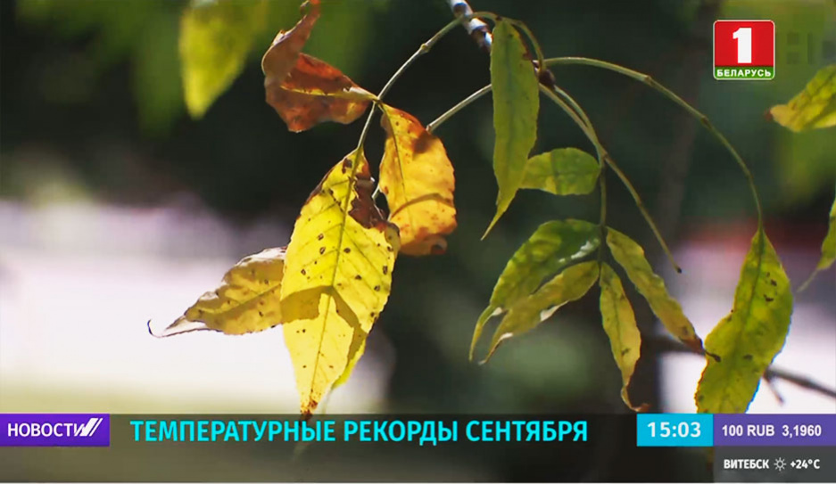 В Беларуси зафиксировали новые температурные рекорды