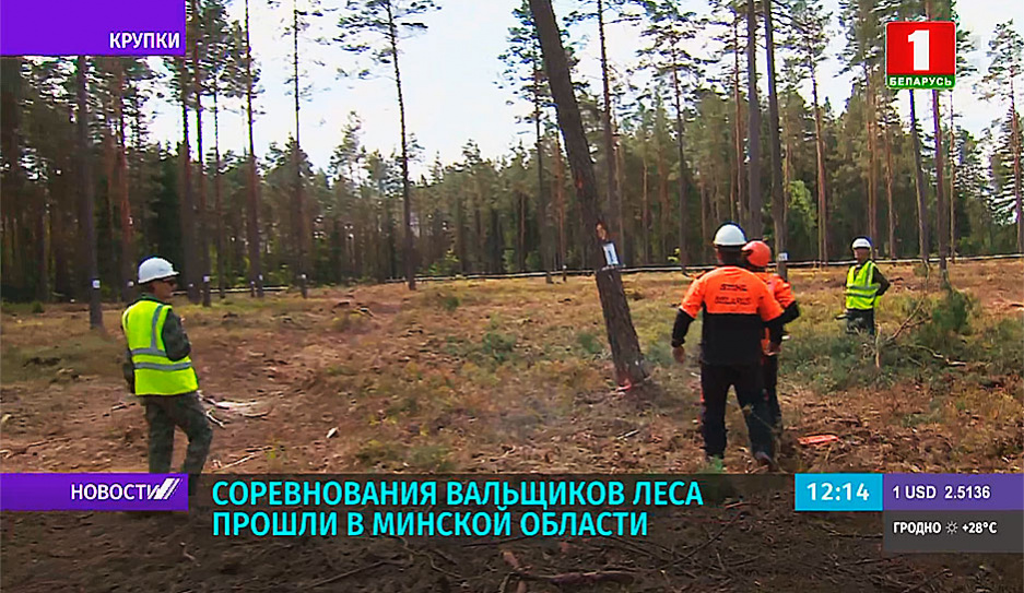 В Минской области прошли соревнования вальщиков леса 