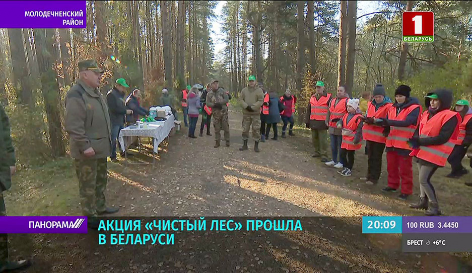Созидать и приумножать, а не разрушать - акция Чистый лес вновь объединила белорусов