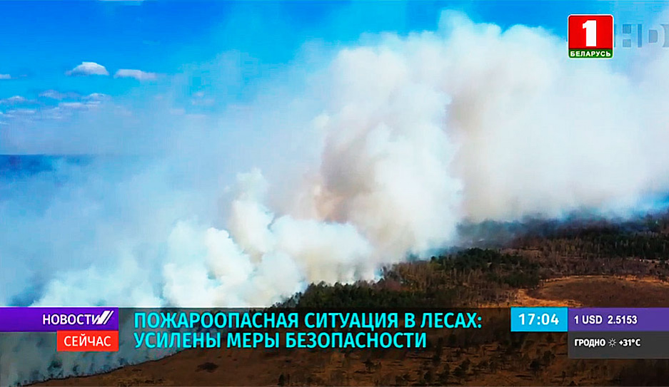 Пожароопасная ситуация в лесах Беларуси: усилены меры безопасности
