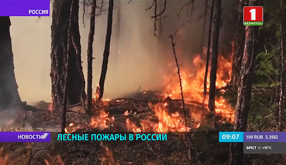 В России не утихают лесные пожары. Огнем охвачены 18 тысяч гектаров