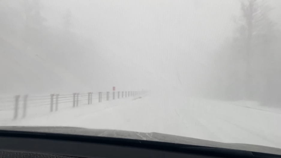 Зима решила задержаться - Беларусь заметает снегом