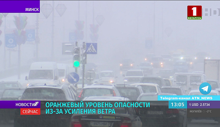 В Беларуси оранжевый уровень опасности - усиление ветра, метель, гололедица 