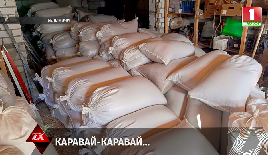 Как водитель сельхозпредприятия в Белыничах похитил почти 8 т пшеницы