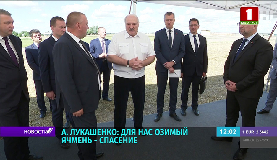 Лукашенко: Для нас озимый ячмень - спасение