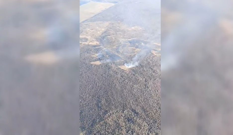 Основные версии лесных пожаров в в Брестской области - поджоги    