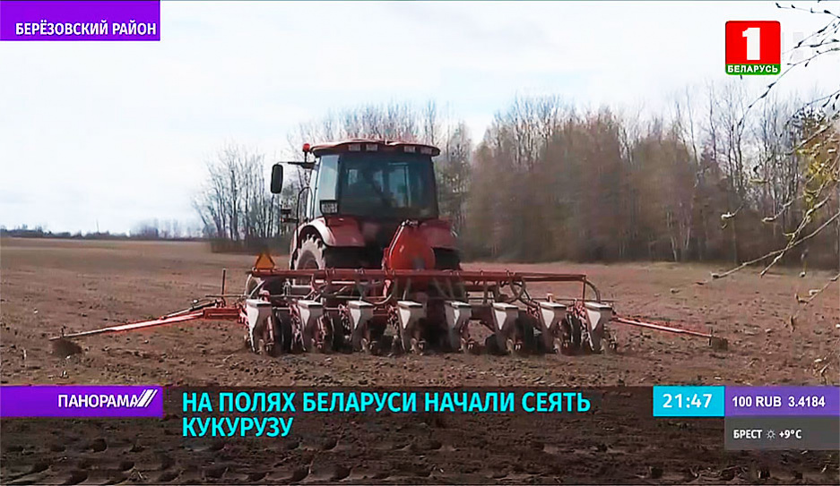 Как затяжная весна повлияла на работу аграриев Беларуси