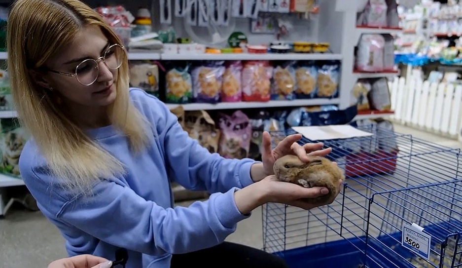 В преддверии праздников в России заметно увеличился спрос на кроликов