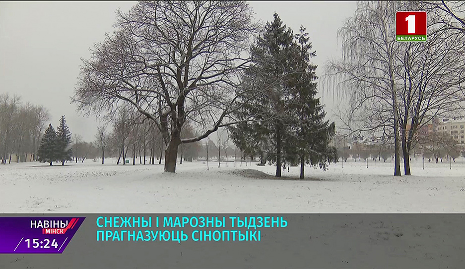 В Минской области в прогнозах на неделю снег, слабый туман и гололед