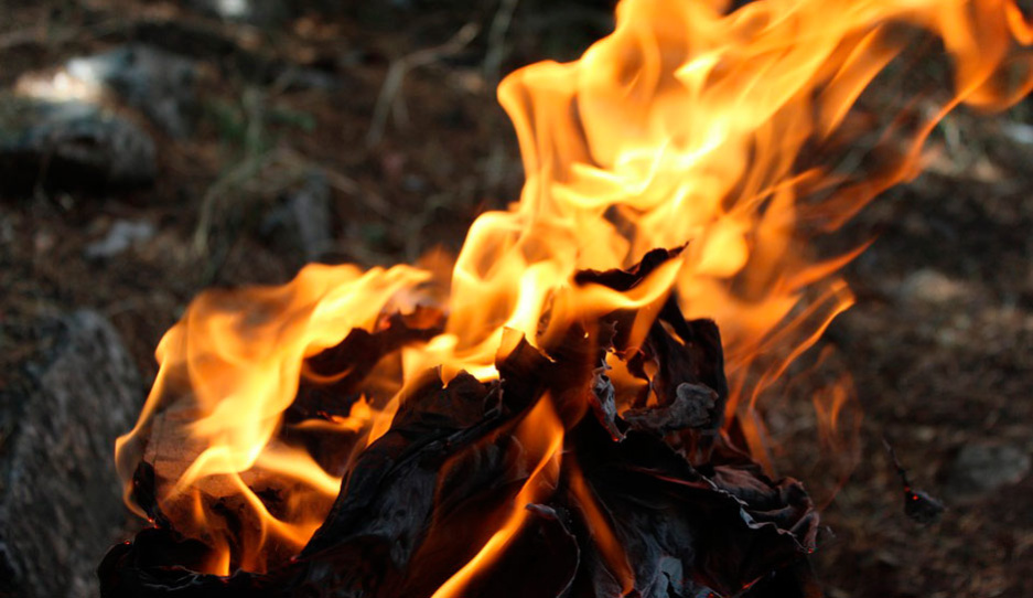 20 пожаров ликвидированы в Беларуси за большие выходные 
