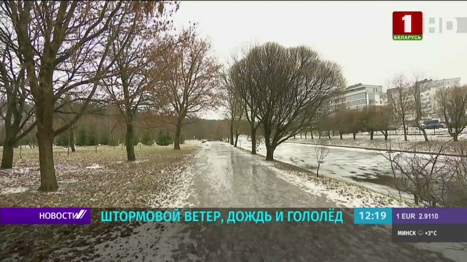 Штормовой ветер до 24 м/с, дождь и гололед сегодня в Беларуси 