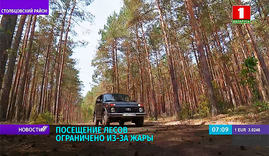 В Беларуси ограничено посещение лесов из-за жары 