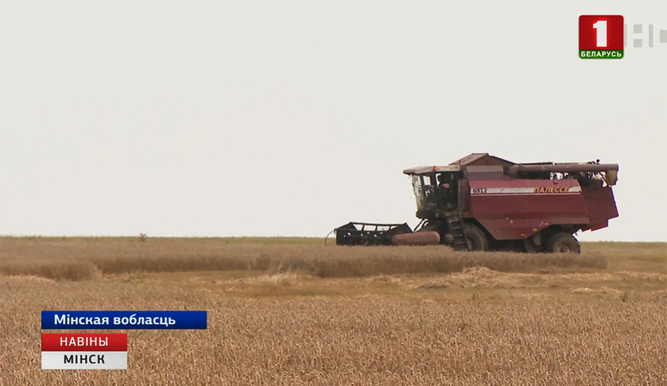 Сельхозорганизации  Минской области на днях полностью завершат  уборку зерна