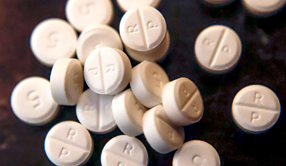 Наркотиков, изъятых в прошлом году в Калифорнии, хватит, чтобы дважды убить все население Земли