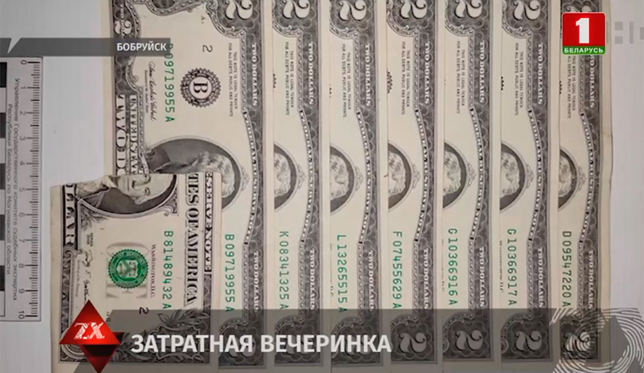Во время вечеринки в одной из квартир Бобруйска пропало 1 300 долларов - виновные задержаны