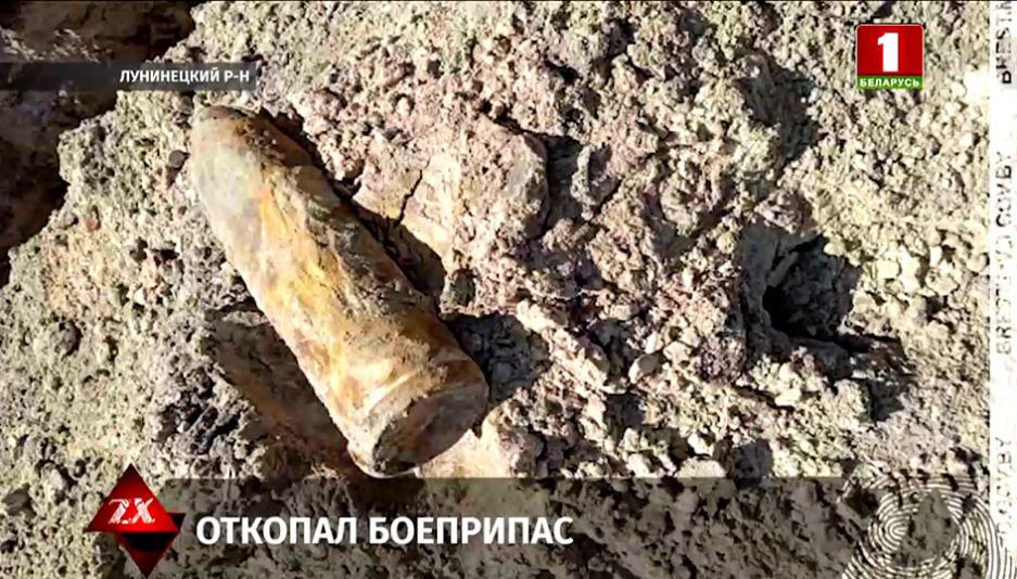 В Лунинецком районе местный житель на своем участке откопал боеприпас 