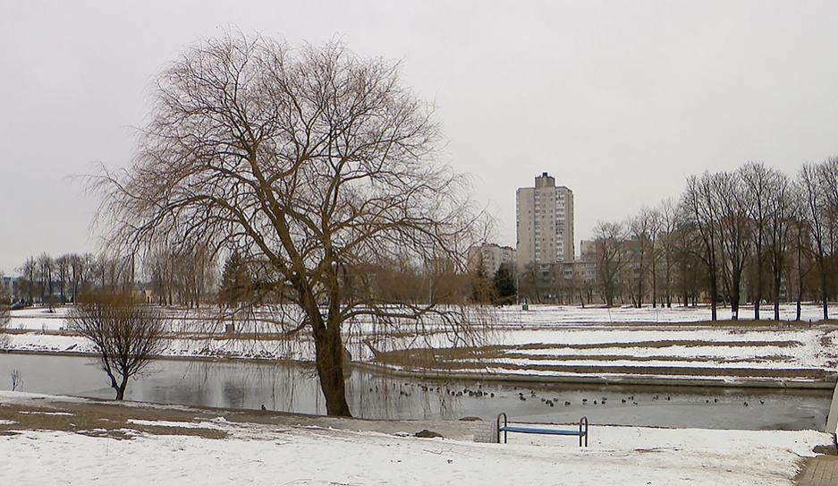 Снег, дождь и метель - неустойчивая и контрастная погода ожидается в Беларуси в выходные 