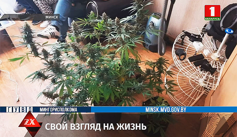 Беларусь что за хранение марихуаны что делать если перекурил конопли