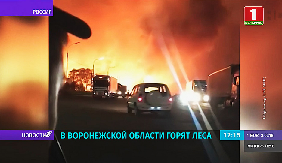 Лесные пожары охватили Воронежскую область
