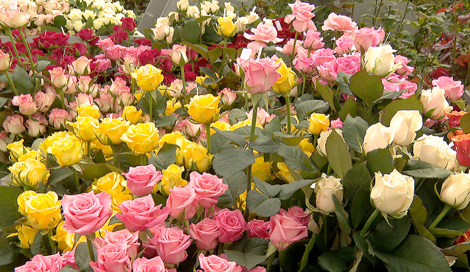 В столице по продаже цветов работают 200 колоритных площадок 