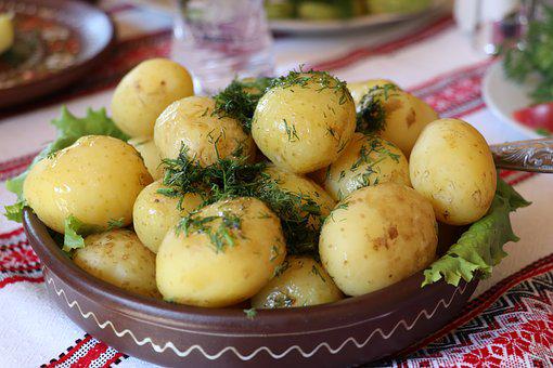 Пул Первого объявил конкурс на лучшее фото блюда из картошки от Александра Лукашенко