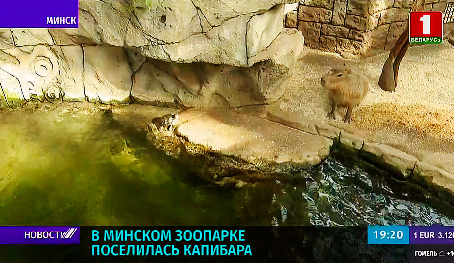 В Минском зоопарке весеннее пробуждение 