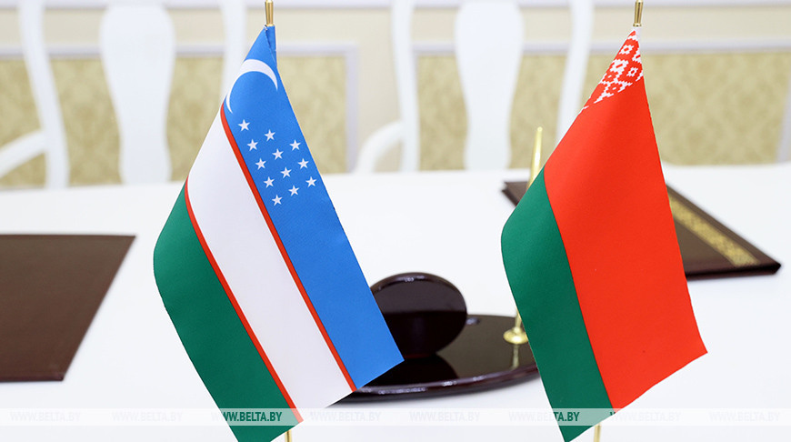 Учреждения дошкольного образования Беларуси и Узбекистана наладят сотрудничество
