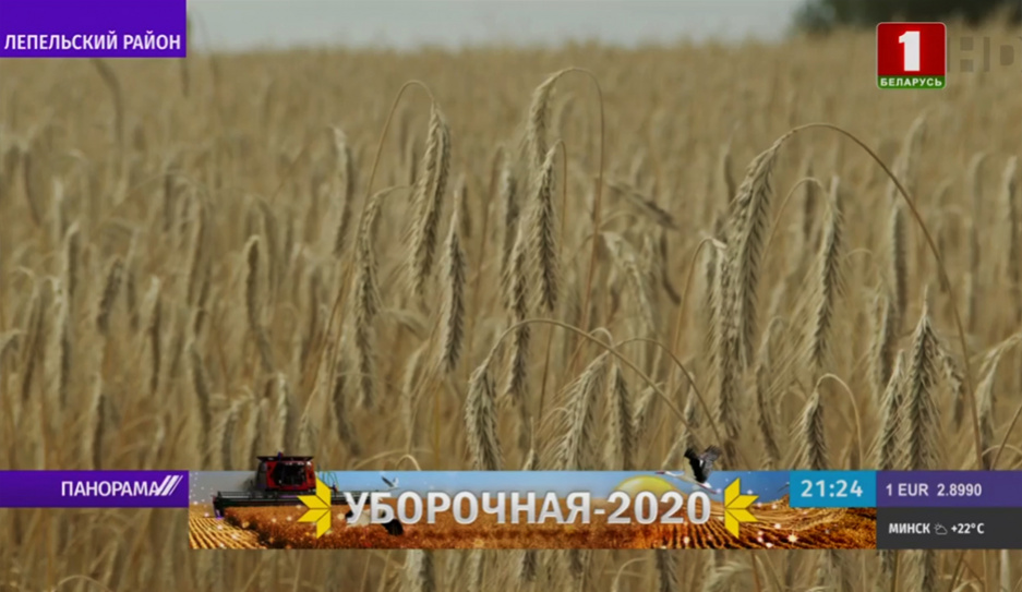 Уборочная-2020. Как аграрии страны бьют хлебные рекорды
