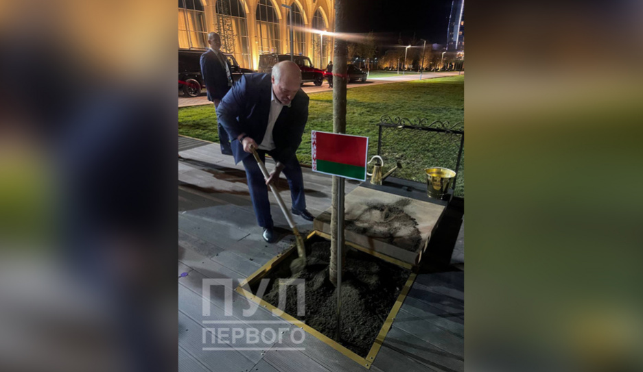 Александр Лукашенко высадил дуб на аллее ШОС в Самарканде