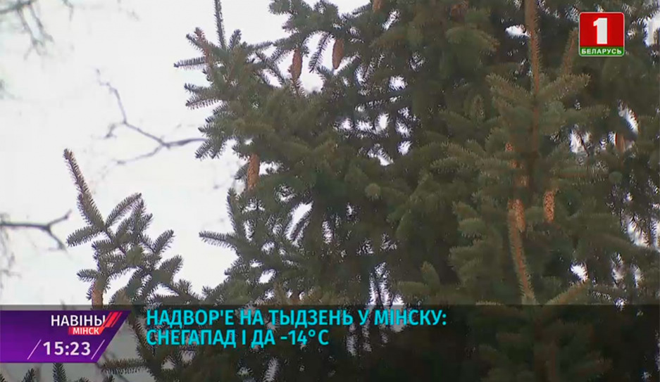 Погода на неделю в Минске: снегопад и до -14°С