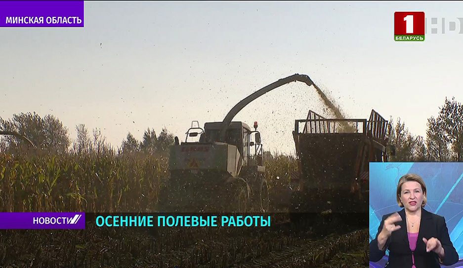 Сельскохозяйственные предприятия Минской области активизируют уборку овощей