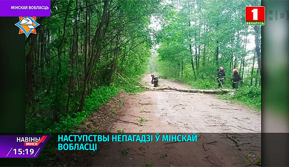 В Минской области ликвидируют последствия грозового фронта 