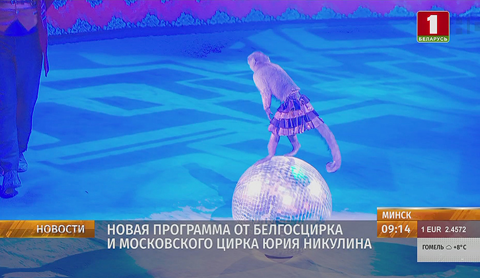 Новая программа от Белгосцирка и московского цирка Юрия Никулина