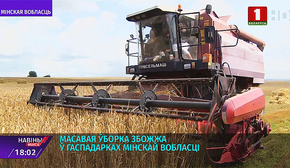Аграрии всей Минской области сейчас активно собирают урожай 